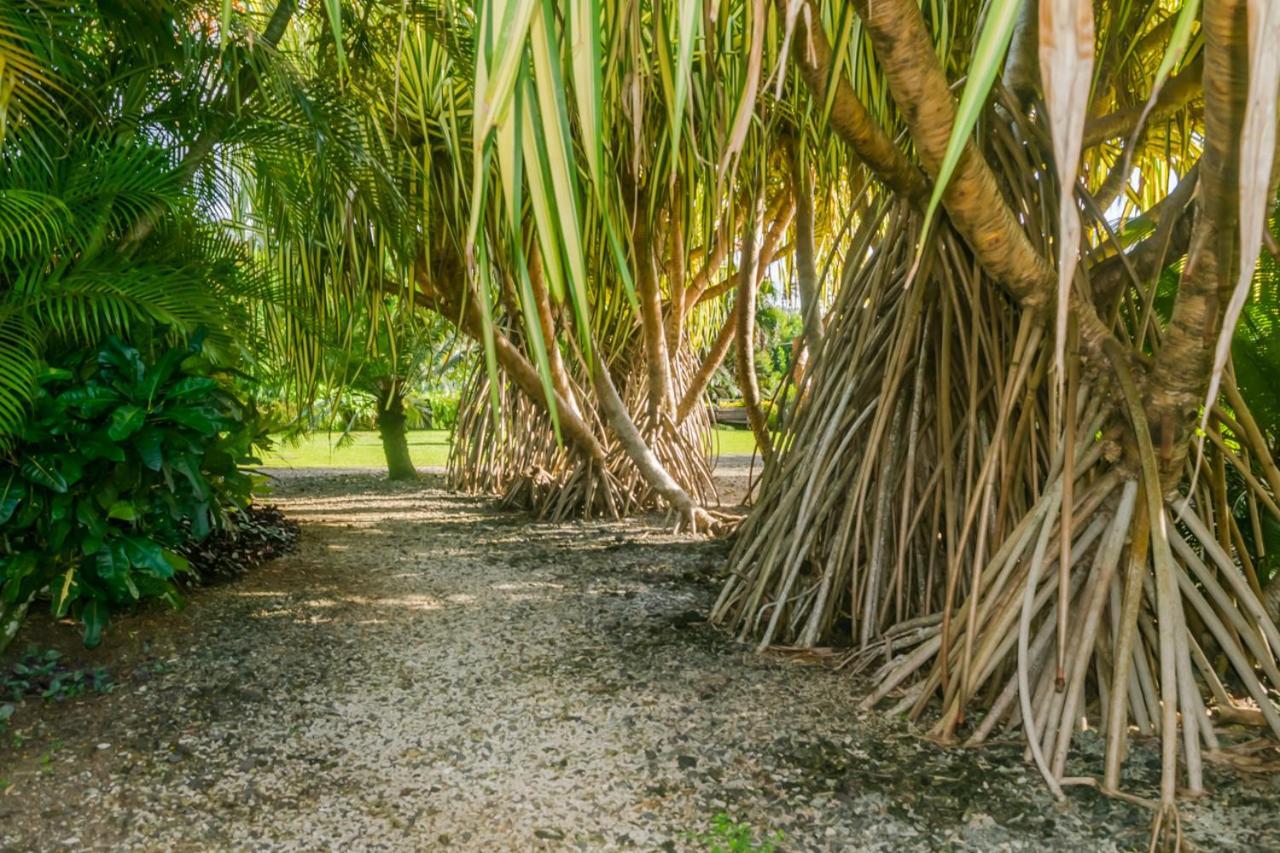 Aroha Taveuni Beachfront Bures Waiyevo Exterior photo