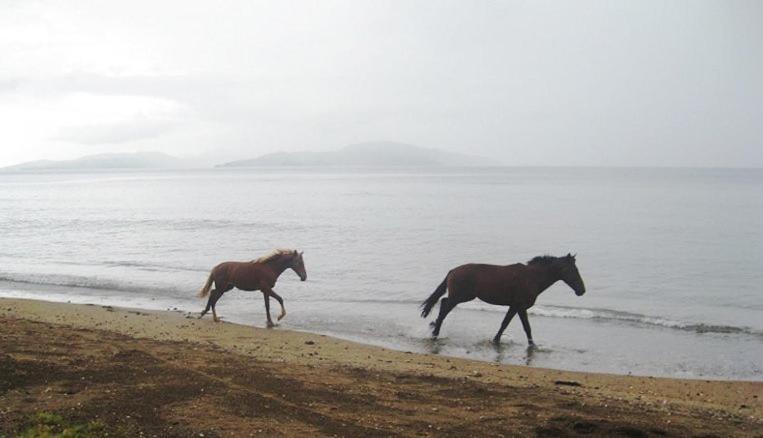 Aroha Taveuni Beachfront Bures Waiyevo Exterior photo